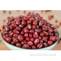 Frijoles rojos pequeños secos